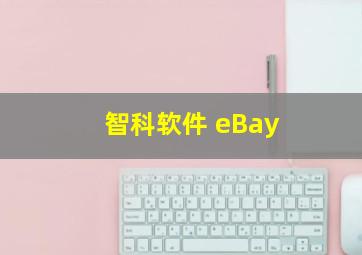 智科软件 eBay